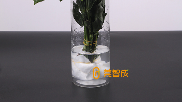 鮮花怎么保水？教你一個(gè)便捷招