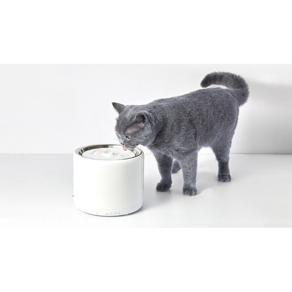 一鍵過濾，寵物飲水機濾芯帶來健康喝水體驗