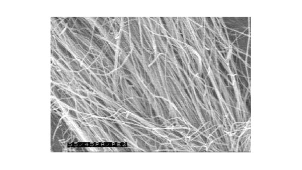 德科學(xué)家研制成功“拜羅伊特超級纖維”