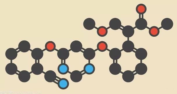 滌綸在高溫中是如何變化的？