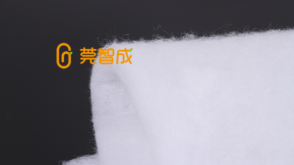 無膠棉廠智成纖維，品牌彰顯實力