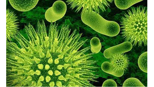 以色列抗菌涂層技術可用于醫用紡織品處理